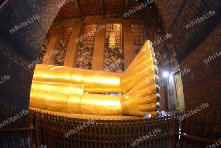 Der Liegende Buddha in der Tempelanlage des Wat Pho in der Hauptstadt Bangkok von Thailand in Suedostasien.