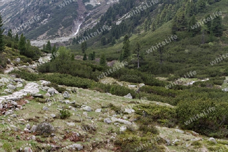 Zum Pfitscherjoch, Zillertal, Oesterreich