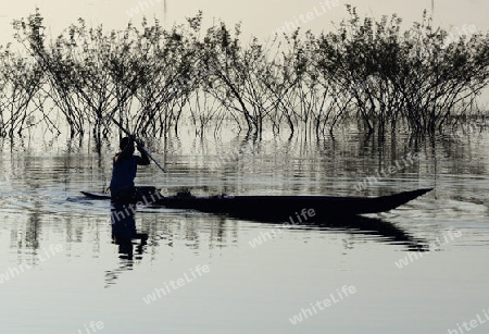 Ein Fischer auf dem See in Amnat Charoen im Isan im osten von Thailand,