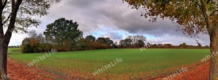 Beautiful high resolution panorama of a northern european country landscape with fields and green grass.