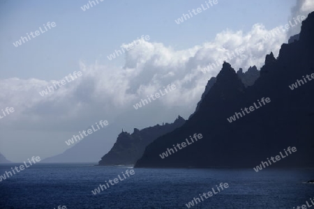 The coast in the village of  Puerto de la Cruz on the Island of Tenerife on the Islands of Canary Islands of Spain in the Atlantic.  