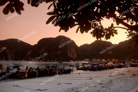 A Beach in the Town of Ko PhiPhi on Ko Phi Phi Island outside of  the City of Krabi on the Andaman Sea in the south of Thailand. 