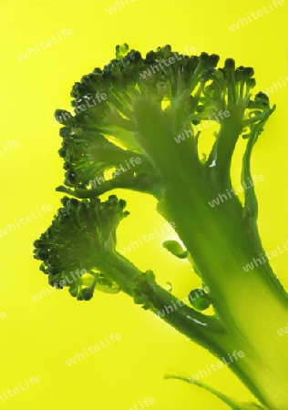 Broccoli