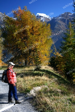 Alp Craistas