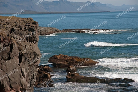 Der Westen Islands, die Klippen der Steilk?ste von Arnastapi auf der S?dseite der Halbinsel Sn?fellsnes