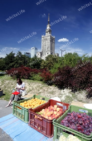 The Culture Palace in the City of Warsaw in Poland, East Europe.