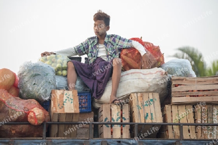 a fegetable market in a Market near the City of Yangon in Myanmar in Southeastasia.