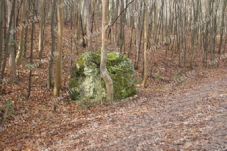 Stein mit Moos