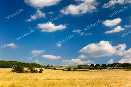 Landschaft bei Dorndorf