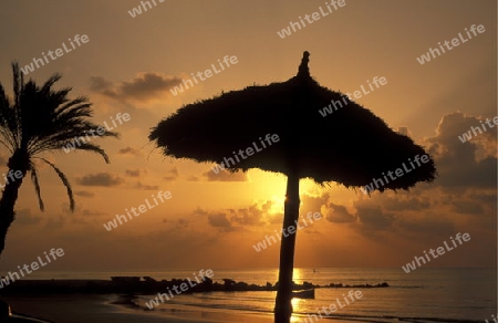 Ein Sandstrand auf der Insel Jierba im Sueden von Tunesien in Nordafrika.