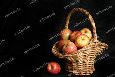 Harvest - apples in basket