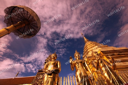 Der Chedi der Tempel Anlage des Wat Phra That Doi Suthep bei Chiang Mai in der Provinz Chiang Mai im Norden von Thailand in Suedostasien.