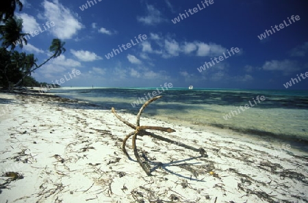 
Der Traumstrand mit Palmen und weissem Sand an der Insel Velavaru im Southmale Atoll auf den Inseln der Malediven im Indischen Ozean.   