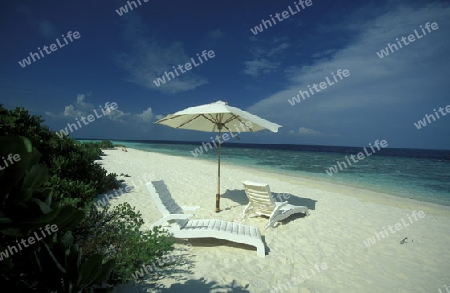 
Der Traumstrand mit Palmen und weissem Sand an der Insel Velavaru im Southmale Atoll auf den Inseln der Malediven im Indischen Ozean.   