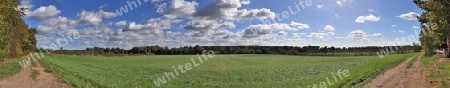 Beautiful high resolution panorama of a northern european country landscape with fields and green grass.