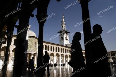 Asien, Naher Osten, Syrien, Damaskus,   Der Innenhof der  Omaijad Moschee im Souq und Altstadt von Damaskus in der Hauptstadt von Syrien. 