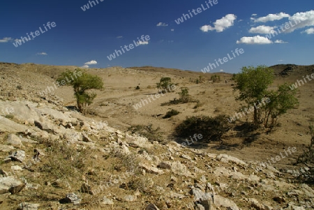 ausgetrocknetes Flussbett