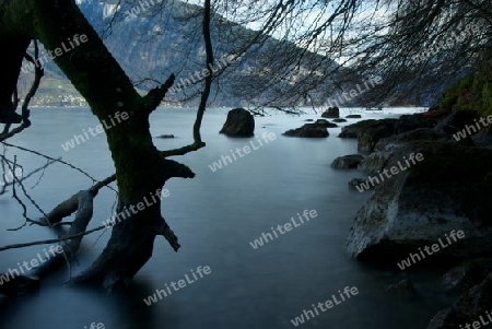 Thunersee im Herbst