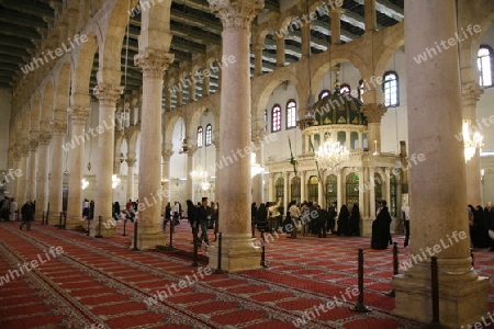 Asien, Naher Osten, Syrien, Damaskus,   Der Innenhof der  Omaijad Moschee im Souq und Altstadt von Damaskus in der Hauptstadt von Syrien. 