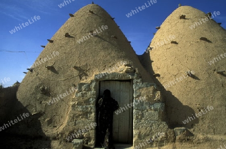 Die traditionellen Lehmhaeuser in den Bauerndoerfer wie Sarouj bei Hama in Zentralsyrien in Syrien im Mittleren Osten in Arabien.