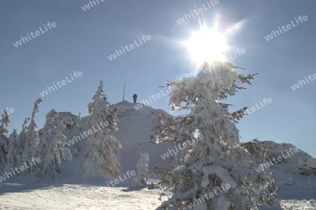 Sonne und Schnee