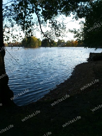 See in Moritzburg