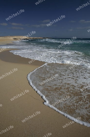 the Beach at the Sanddunes of Corralejo in the north of the Island Fuerteventura on the Canary island of Spain in the Atlantic Ocean.