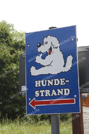 Hundestrand