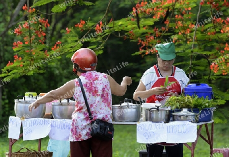 Der Markt im Dorf Mae Hong Son im norden von Thailand in Suedostasien.