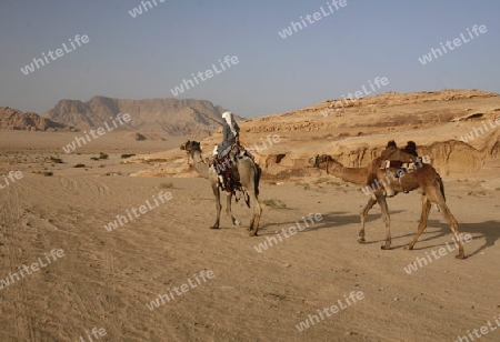 The Landscape of the Wadi Rum Desert in Jordan in the middle east.