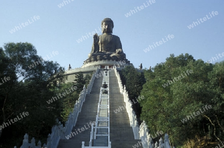 The Giant Buddha on the Island Lantau in Hong Kong in the south of China in Asia.