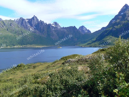 Landschaft auf den Lofoten