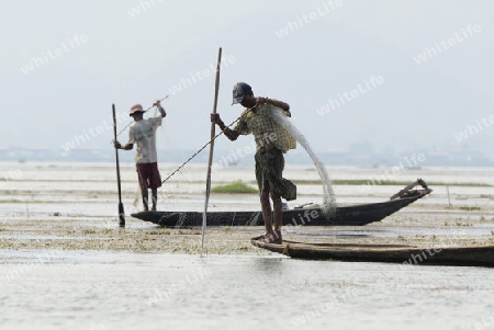 A fishingboat on the Lake Inle near the town of Nyaungshwe at the Inle Lake in the Shan State in the east of Myanmar in Southeastasia.