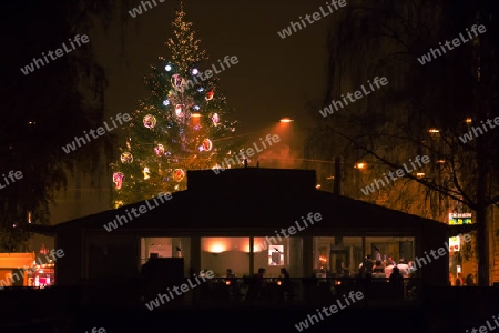 Restaurant mit Weihnachtsbaum im Hintergrund