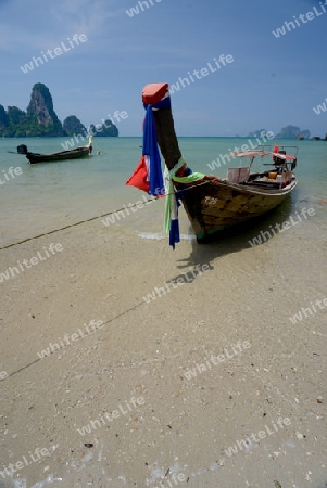 The Hat Tom Sai Beach at Railay near Ao Nang outside of the City of Krabi on the Andaman Sea in the south of Thailand. 