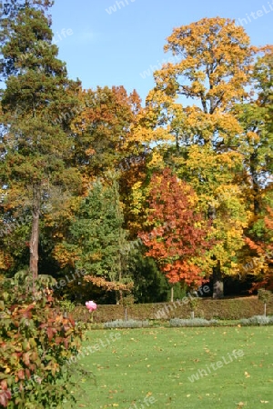 Herbst im Neuen Garten Potsdams