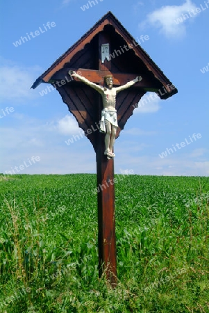 Holzkreuz im Feld