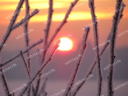 Sonnenaufgang im Winter