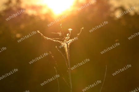 Sonnenuntergang