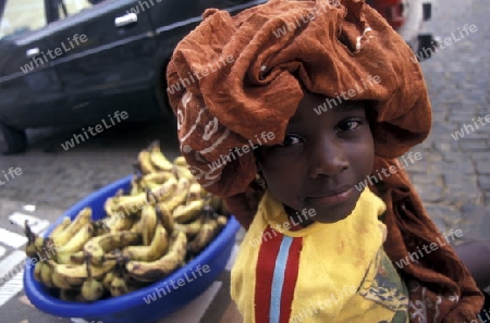 Childern near the town of Ribeira Grande on the Island of Santo Antao in Cape Berde in the Atlantic Ocean in Africa.