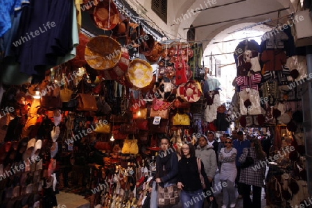 Eine Gasse im Souq oder Bazzar in der Altstadt  von Tunis am Mittelmeer in Tunesien in Nordafrika..