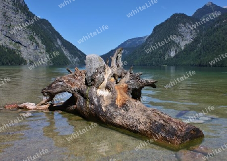 Bergsee