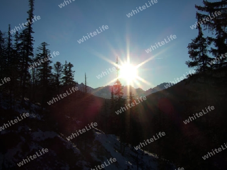 Blick auf zugspitze