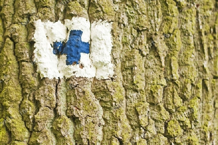 Wegweiser an einem Baum