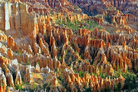 Felsformationen und Hoodoos, Bryce Canyon bei Sonnenaufgang, Bryce Point, Utah, Suedwesten, USA