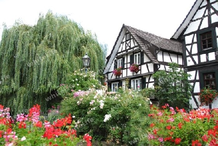 Fachwerkh?user im Schwarzwald