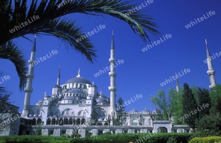 Die Blaue Moschee im Stadtteil Sulranahmet in Istanbul in der Tuerkey.