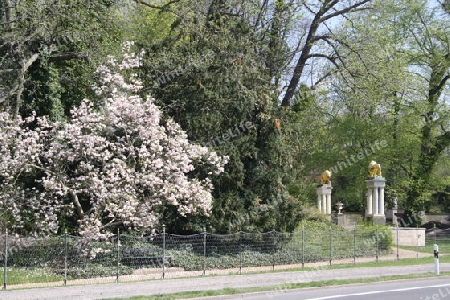 An der Königsallee Berlin-Zehlendorf