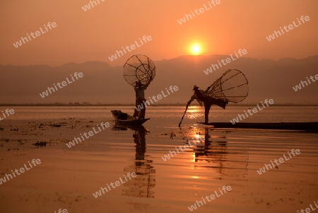 Fishermen at sunrise in the Landscape on the Inle Lake in the Shan State in the east of Myanmar in Southeastasia.