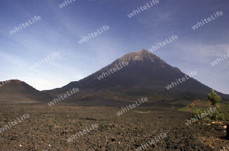 The Volcano Fogo on the Island Fogo on Cape Verde in the Atlantic Ocean in Africa.